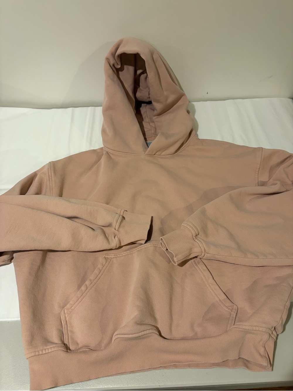 Aritzia Oversized Hoodie in Dusty Blush